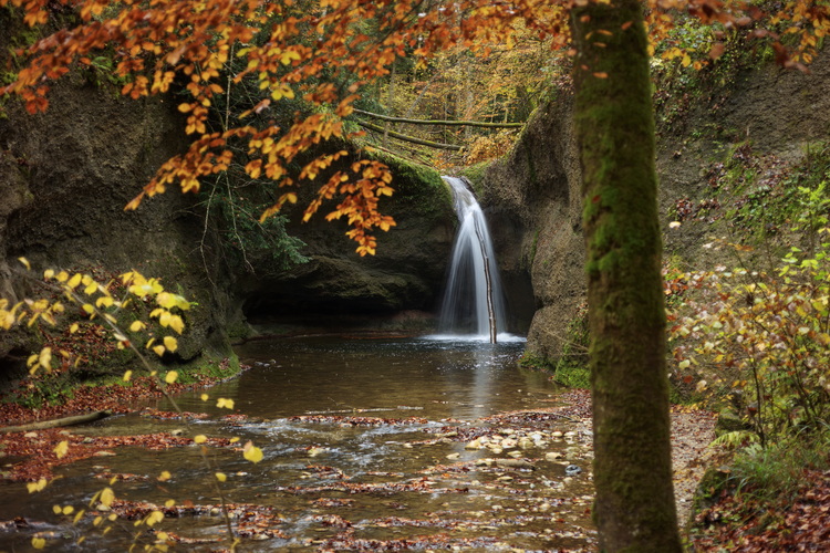 Fotoworkshop im Herbst mit Natur- und Landschaftsfotograf Christian Oeler