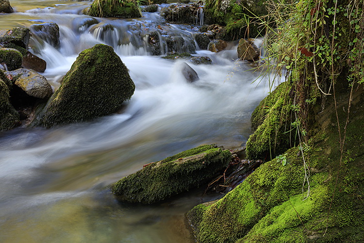 Fotokurs Wasser und Natur im Appenzell mit Christian Oeler